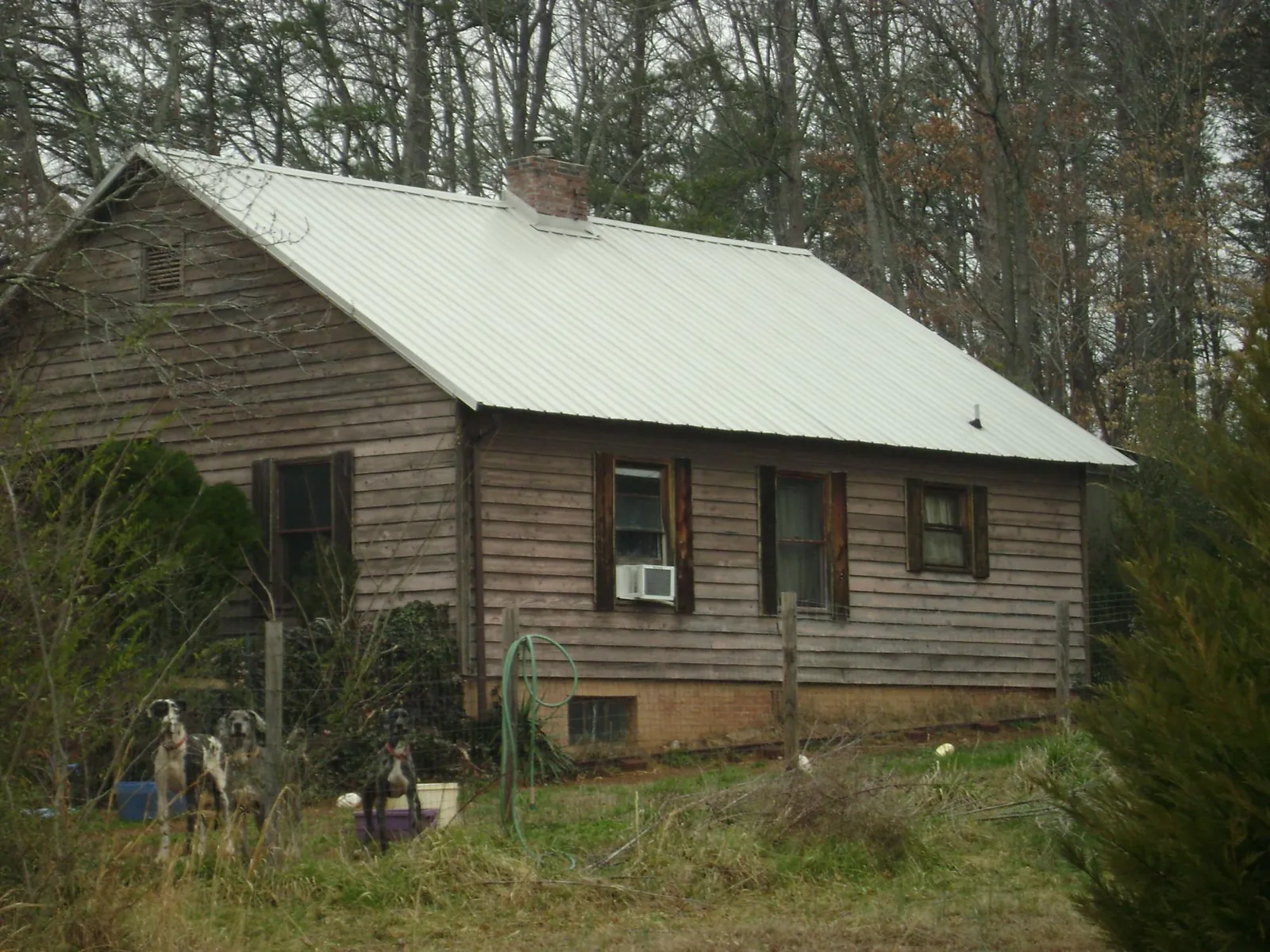 White metal roof on an old wood sided farmhouse, from a Asphalt Shingle Roof Repair job in Dickinson